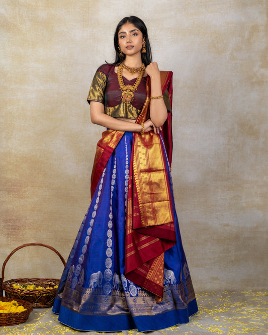 Blue Panelled Kanchi Lehenga